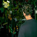 2002 Aug 3